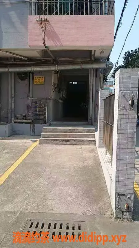 中山楼凤-江门江海三位嫩模，洗吹做只需450元！