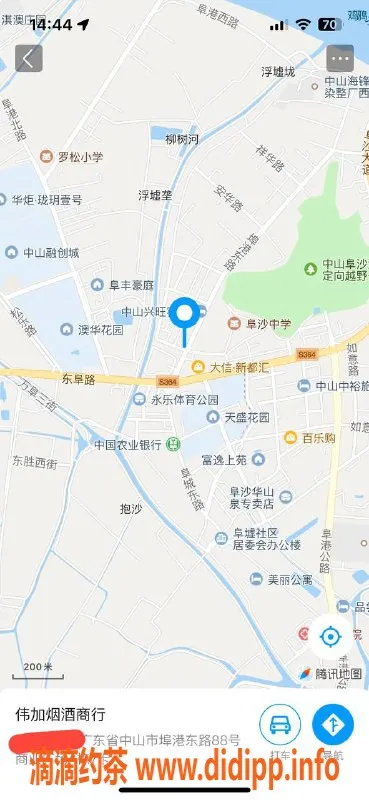 中山楼凤-埠沙3位优质服务，快餐仅需300元