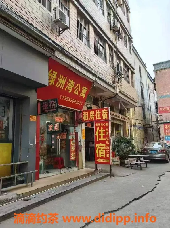 中山楼凤-三角地区优质服务，300元快餐等你体验