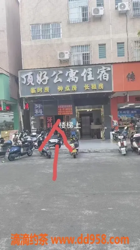 中山楼凤-中山小榄魅力小姐，优质快餐仅300元