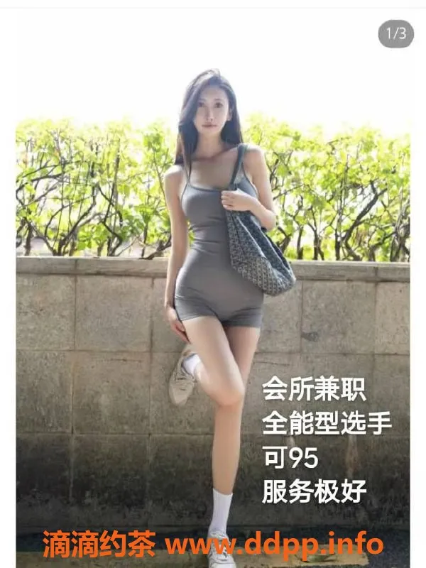 中山楼凤-中山东升优质快餐服务，350元起