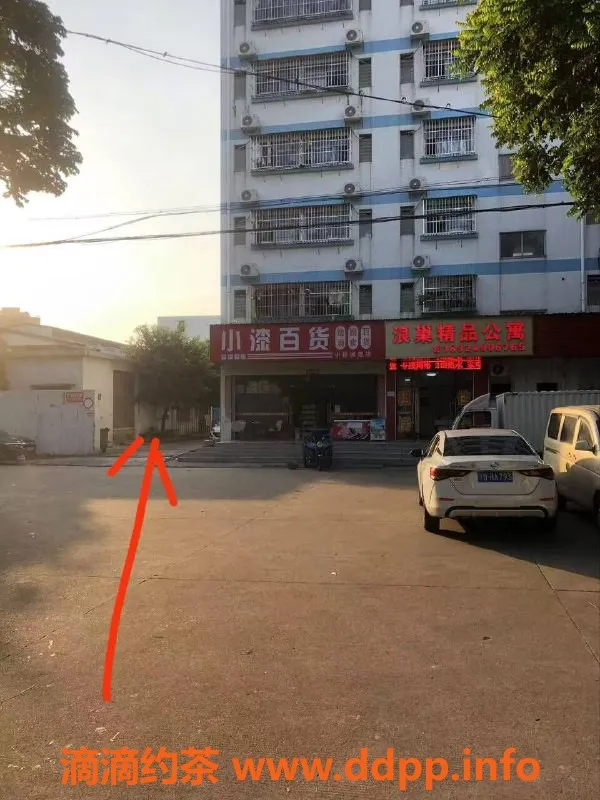 中山楼凤-中山小榄优质服务 300元快餐等你体验