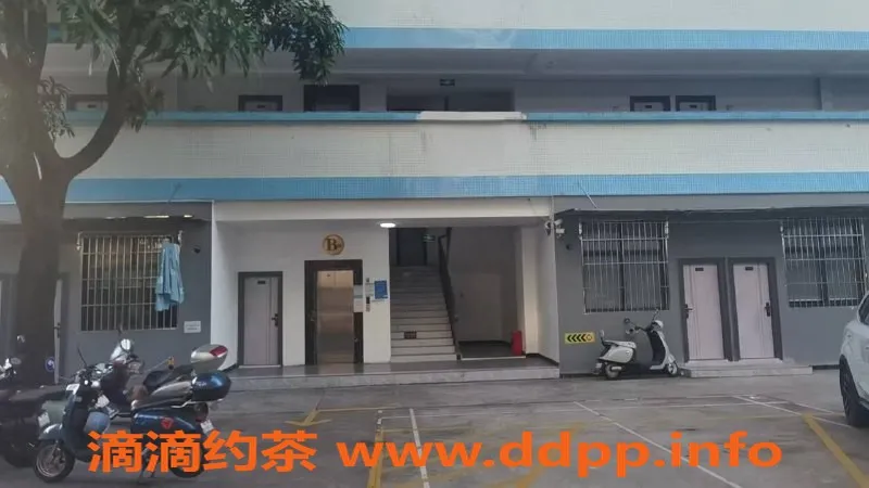 中山楼凤-中山小榄优质服务 300元快餐等你体验