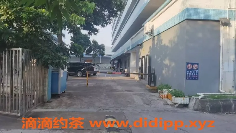 中山楼凤资源信息,小榄大奶服务热荐，300元快餐体验