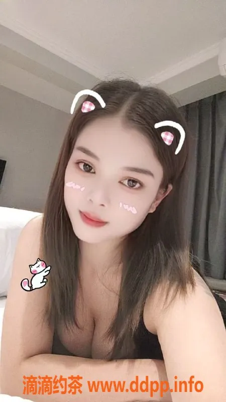 中山楼凤-古镇海洲新服务，快餐300元起