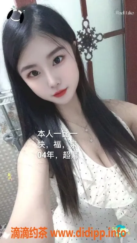 中山楼凤-中山小榄 350快餐优惠体验双重服务