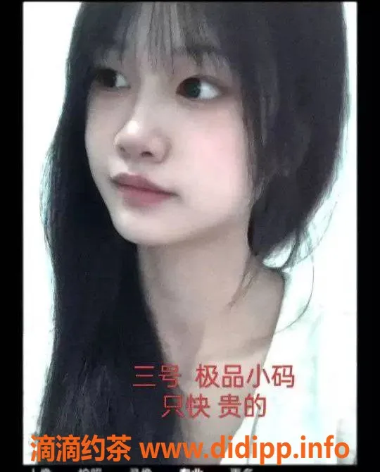 中山楼凤-江门外海快餐服务，轻松享受美好时光