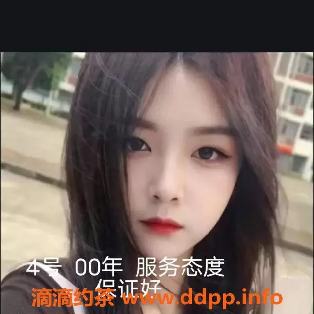 中山楼凤资源信息,中山小榄优质快餐服务，350起