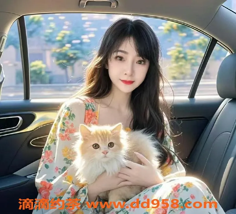 中山楼凤资源信息,中山横栏优质服务，300起步体验