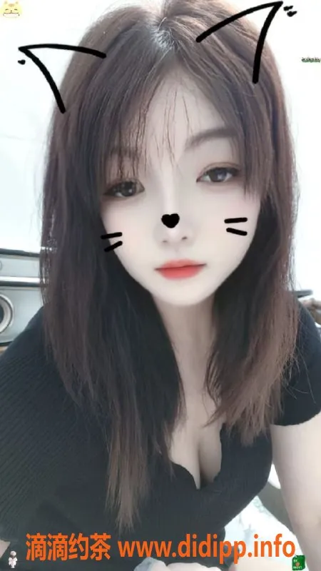 中山楼凤-江门江海优质服务，快餐仅需300元