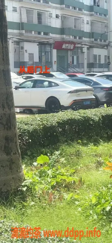 中山楼凤资源信息,火炬地区优质服务 300元快餐体验