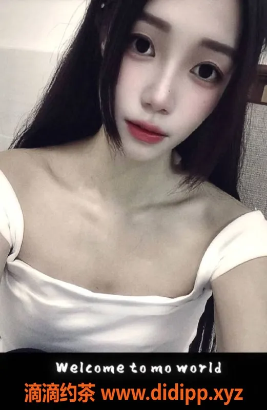 中山楼凤-火炬地区优质服务，300快餐起步