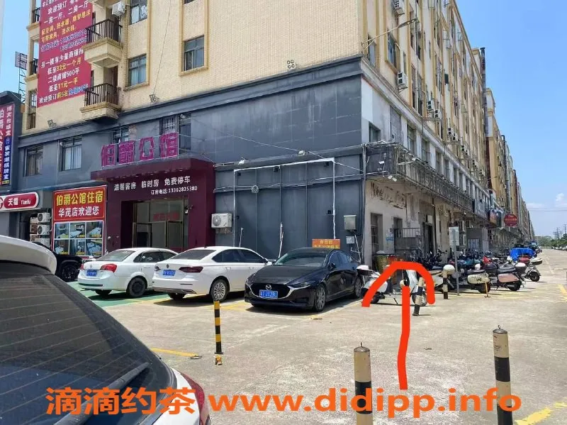 中山楼凤-中山横栏 高档快餐服务 仅需300元