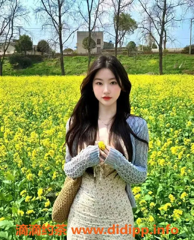 中山楼凤资源信息,古镇优质服务，350元快餐不容错过