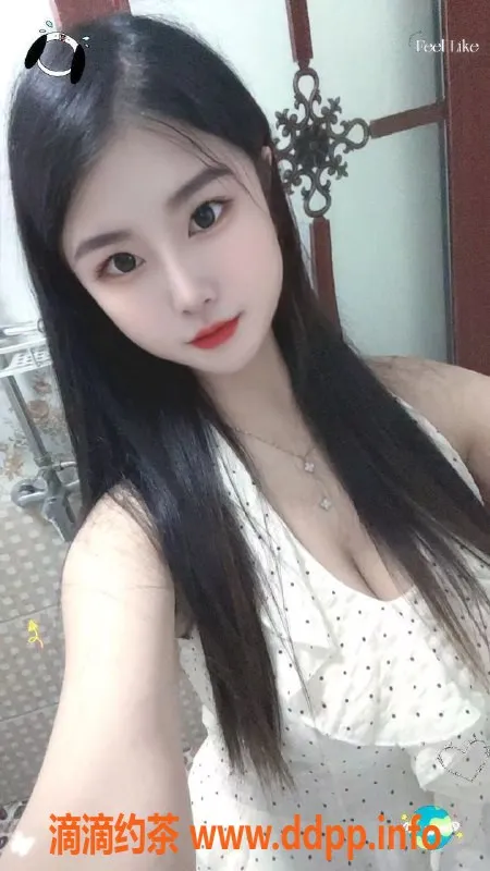 中山楼凤-中山小榄优质服务，快餐350元起