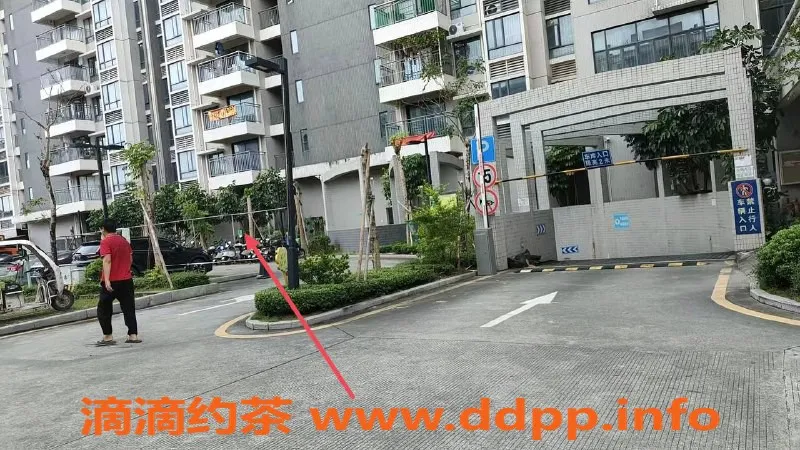 中山楼凤资源信息,火炬地区12位优秀楼凤，300元快餐服务