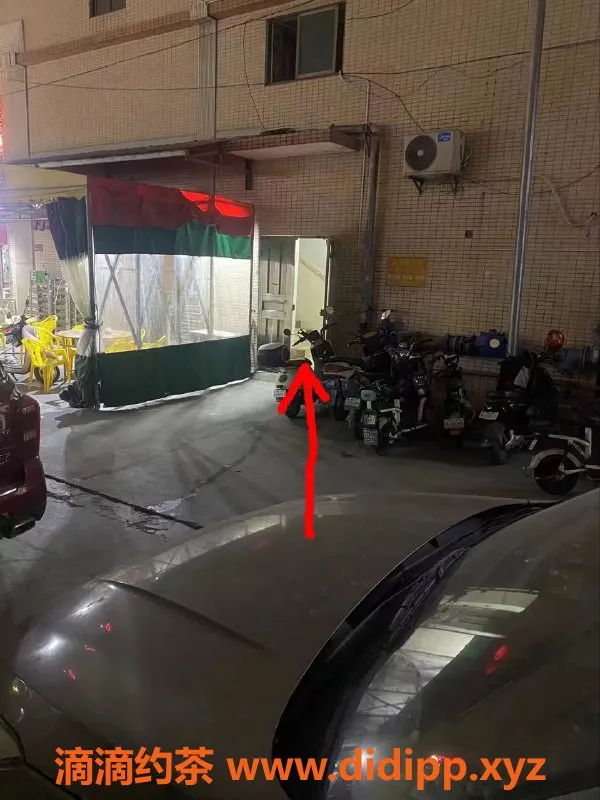 中山楼凤资源信息,西区按摩服务，快速享受只需300元