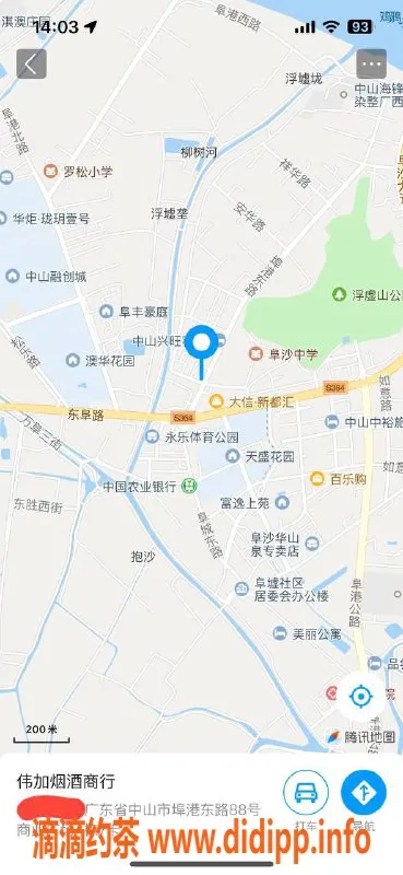 中山楼凤-埠沙高品质服务，快餐300元，洗吹做400元