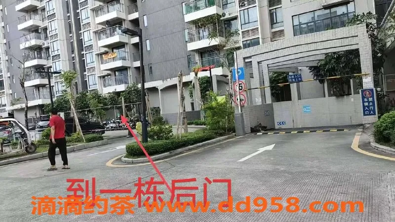 中山楼凤-火炬附近 优质服务 300快餐/400洗吹做