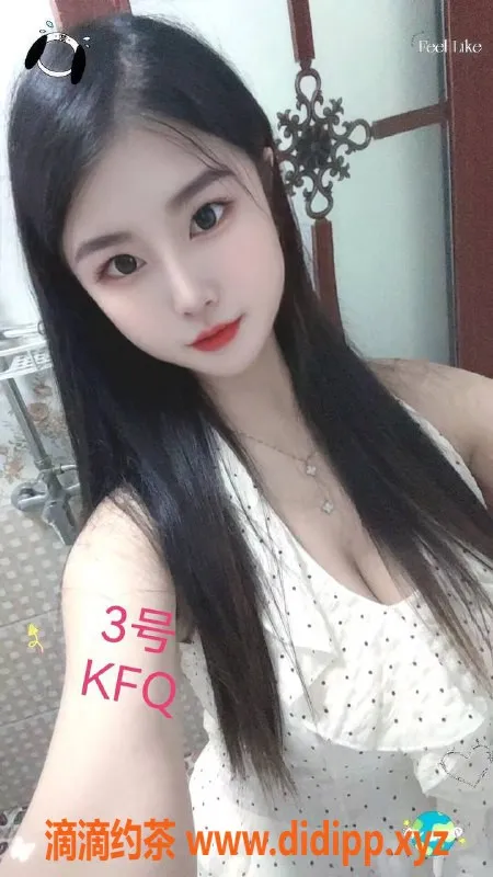 中山楼凤-小榄优质服务，350元快餐，超划算！