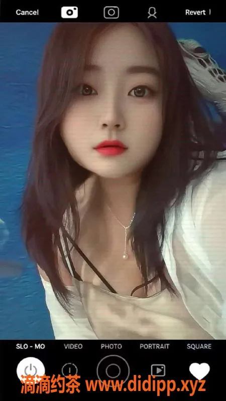 中山楼凤-埠沙优质服务，400洗吹做只需价格亲民