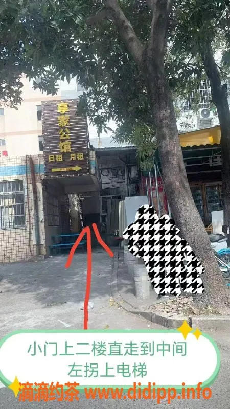 中山楼凤-江海地区高端服务，快餐300元，洗吹400元