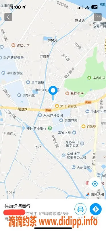 中山楼凤-埠沙高颜值妹子，300元快餐服务等你来体验！