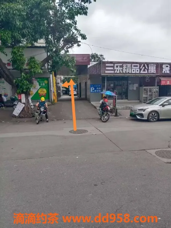 中山楼凤-江门楼凤介绍：快餐300元，享受不容错过