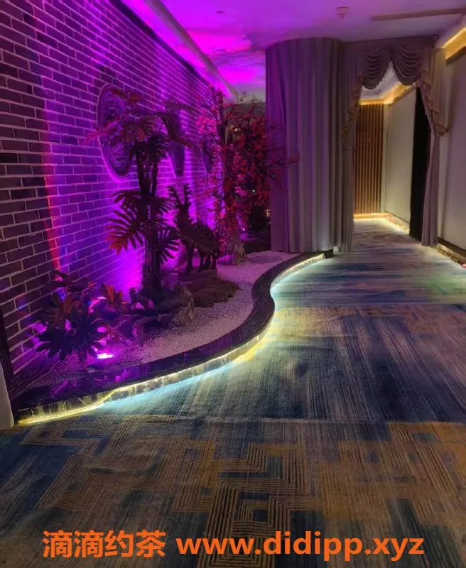 广州spa会所-番禺大学城95会所，年轻技师服务顶级