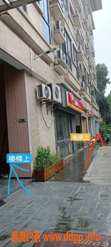 中山楼凤-古镇女神，300快餐，400洗吹做，服务一流