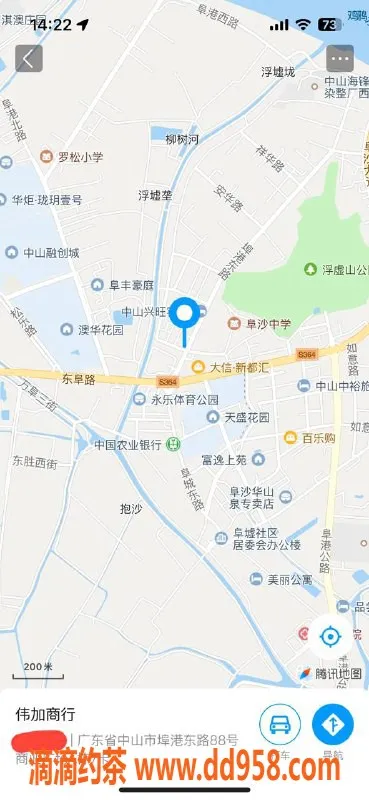 中山楼凤-埠沙遇见美女，300快餐等你来享受