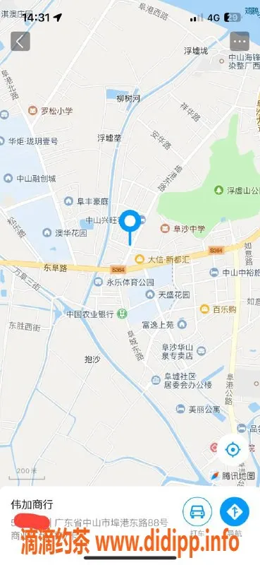 中山楼凤-埠沙高端快餐服务，价格300元起