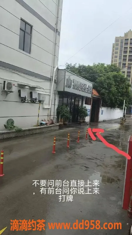 中山楼凤-民众10月21日 高颜值媳妇 300快餐服务