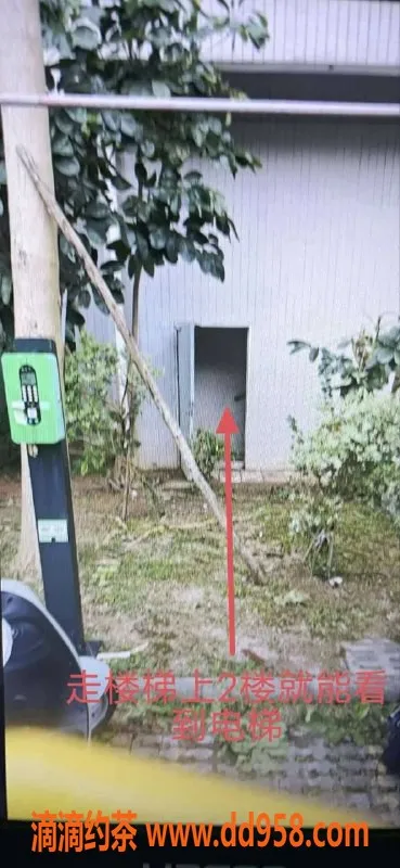 中山楼凤-西门火炬2位600元洗吹做，快餐服务