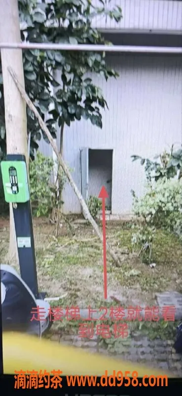 中山楼凤-中山火炬地区300快餐400洗吹服务