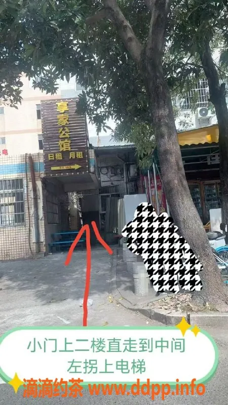 中山楼凤-江门江海高新西路300快餐，400洗吹服务