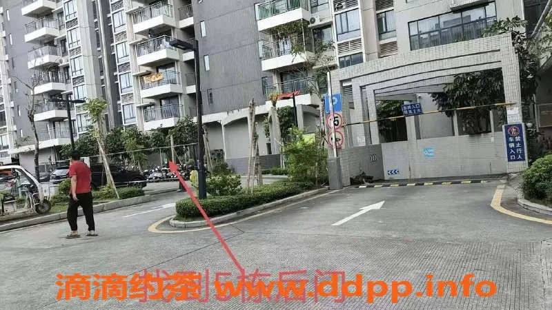 中山楼凤-中山火炬汇美豪庭 300元快餐洗吹做