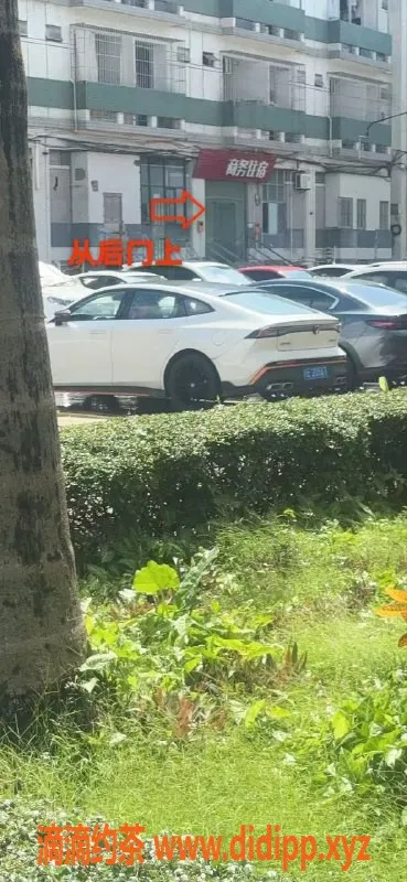 中山楼凤-中山火炬超市附近优质服务，300起步