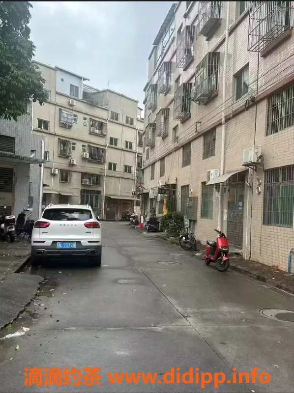 中山楼凤-火炬地区300元快餐体验，满意再付！