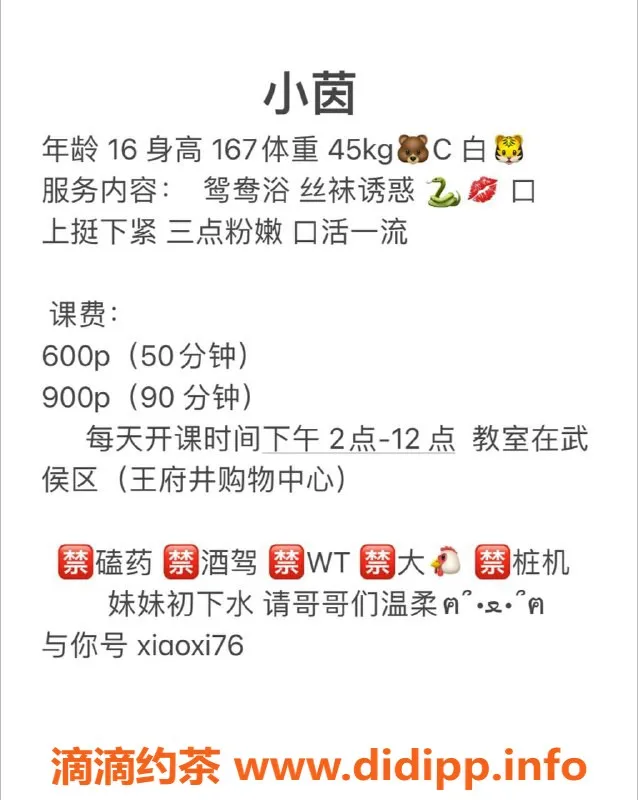 成都楼凤资源信息,成都小茵，16岁巨乳嫩妹，500元一次