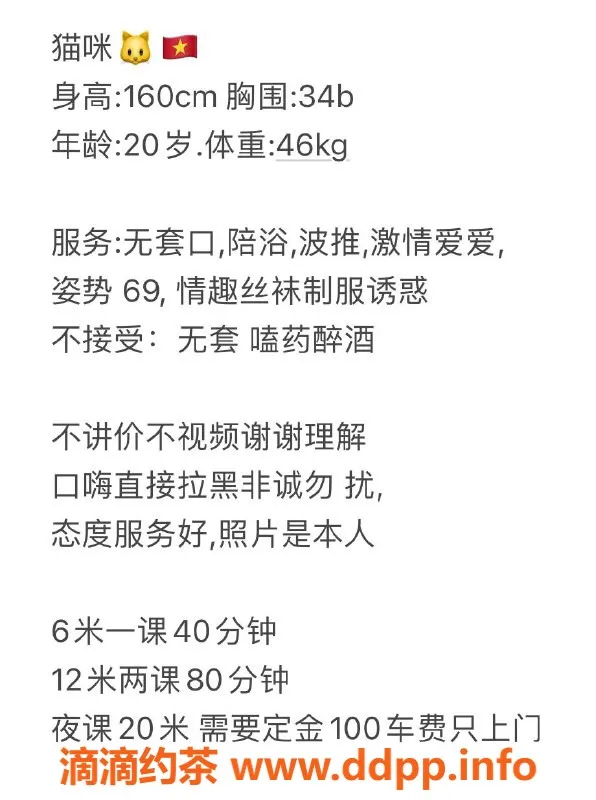 南宁楼凤-青秀区猫咪，热情似火的陪伴！