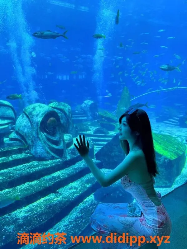 东莞楼凤资源信息,东莞韩小美，高挑嫩妹，90分钟超值体验