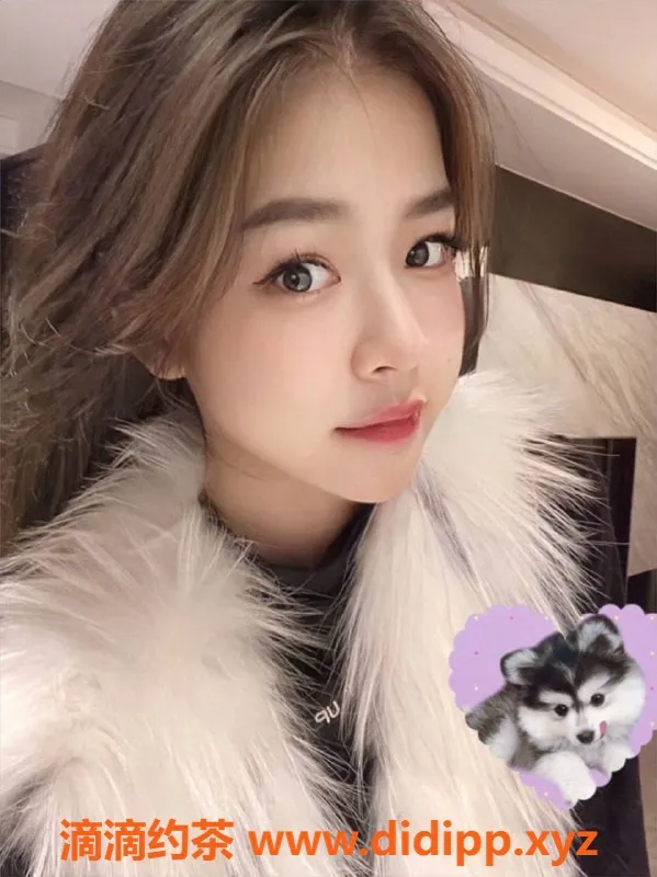 上海外围-长宁大圈福利 2200P拍卖活动等你参与