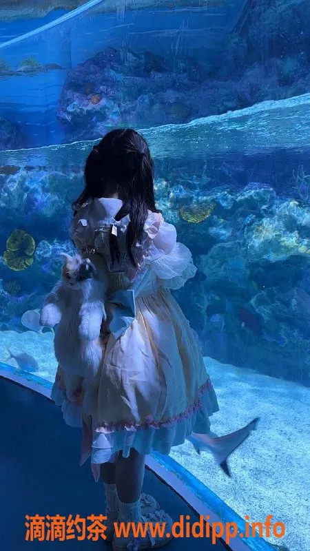 成都楼凤-成华区萝莉沫沫，颜值高，服务优！