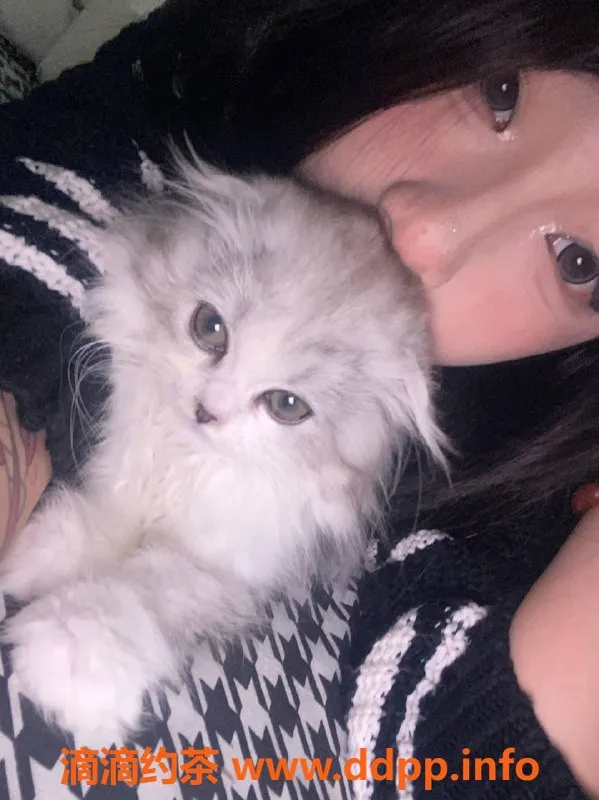 深圳楼凤资源信息,宝安霞霞，1200p超值体验，私聊预约！