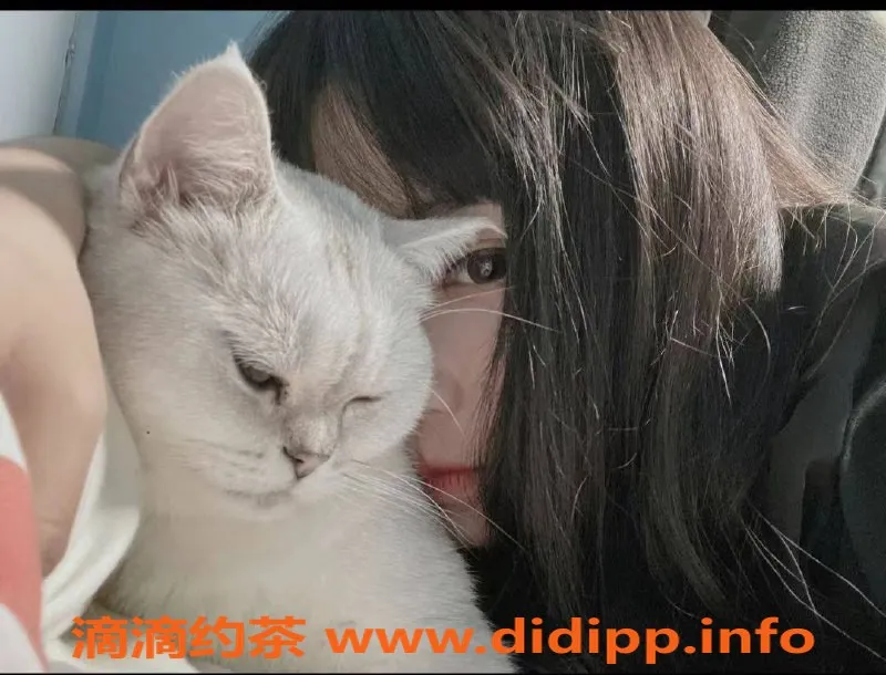 成都楼凤-成都芯瑶，5p 8pp超给力服务