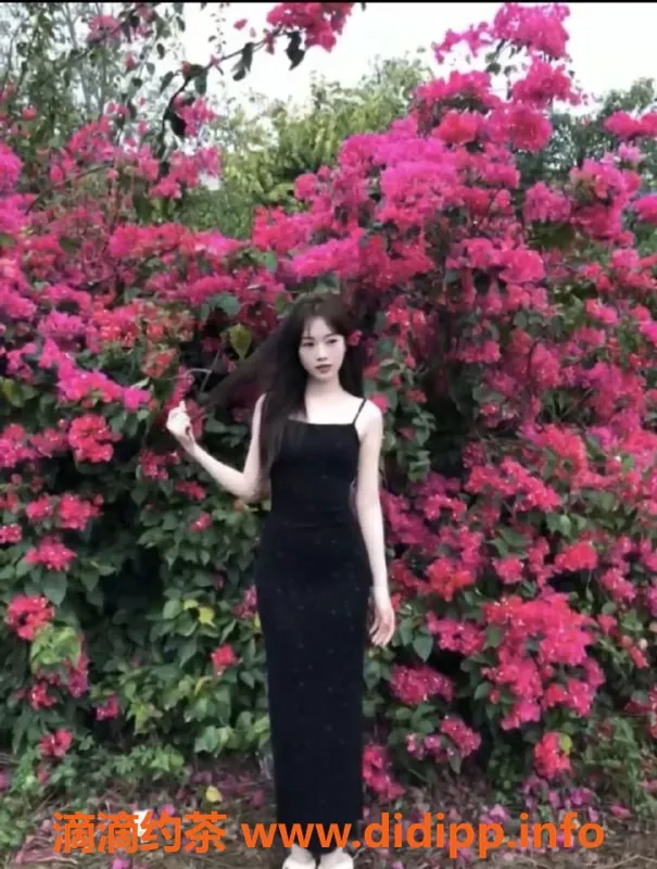 东莞楼凤-东莞香菲教学体验，服务一流，皮肤白皙