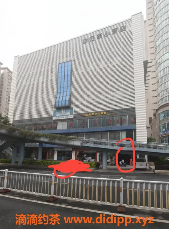 福州楼凤资源信息,福州静静一店项目攻略，轻松体验