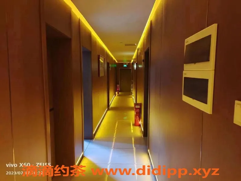 长沙spa会所-维也纳酒店：性感技师激爽体验，限时优惠仅379元！