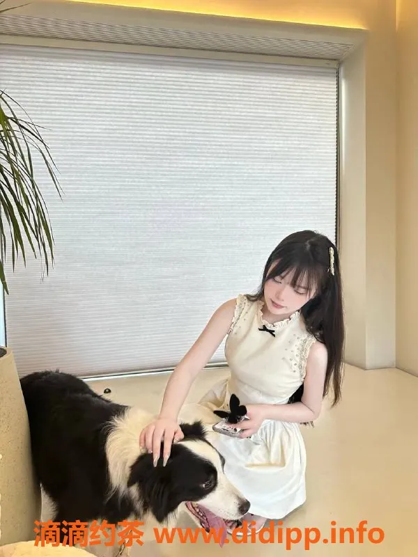 北京楼凤资源信息,朝阳区林允禾，2000起步多种服务等你体验